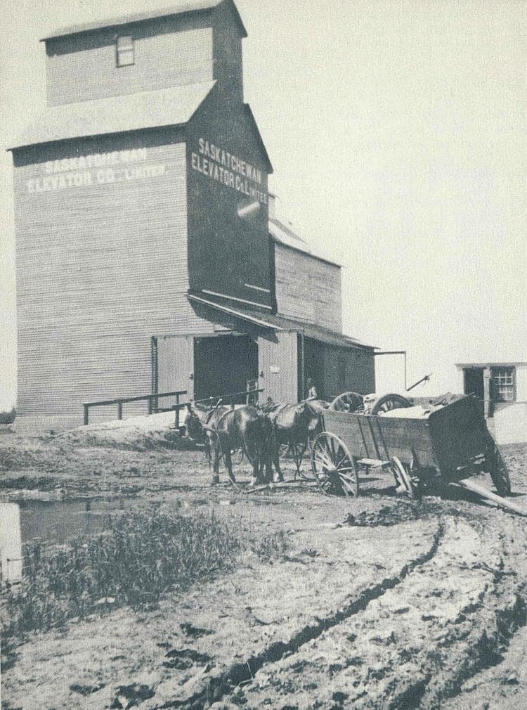 Hauling grain to the elevator at Norquay, June 1920.