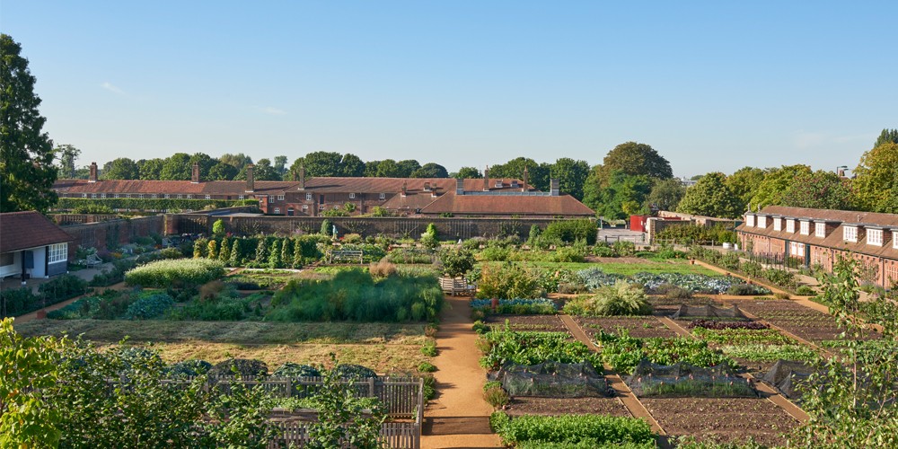 King&#39;s New Kitchen Garden, Hampton Court : Todd Longstaffe-Gowan