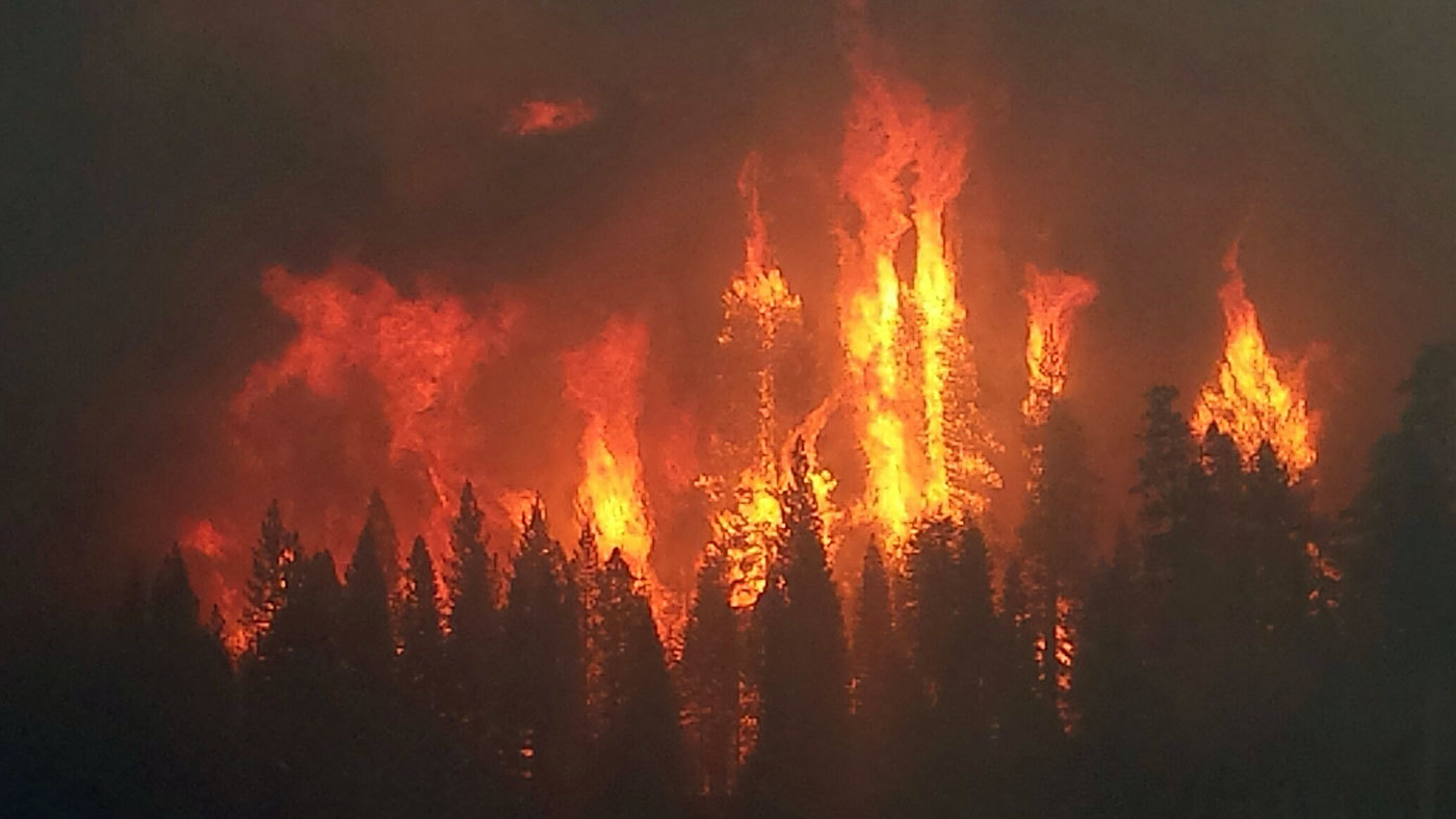 Local winds play a key role in some megafires – Climate Change: Vital Signs  of the Planet