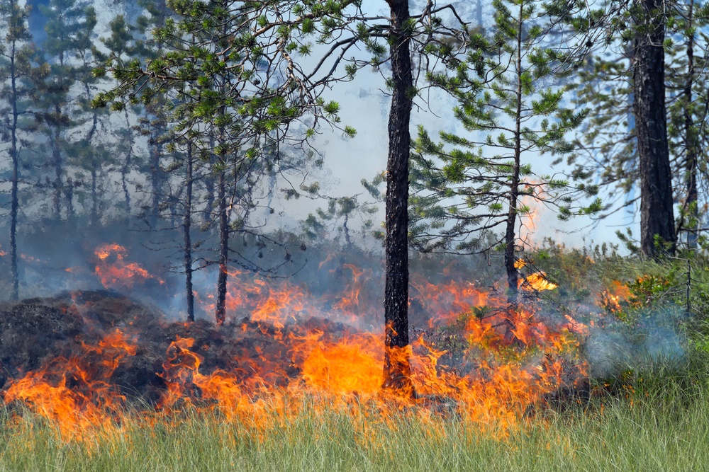 New forest fire discovered near Kamiskotia Lake - Timmins News
