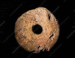 Viking spindle whorl - Stock Image - C043/0588 - Science Photo Library