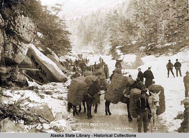 History of the White Pass Trail - Klondike Gold Rush National Historical  Park (U.S. National Park Service)
