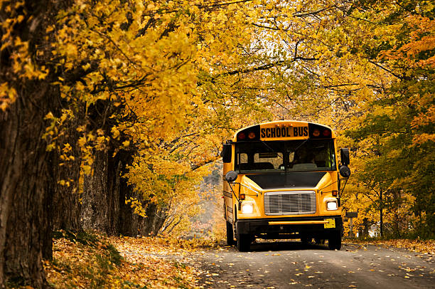 1,728 School Bus In The Fall Stock Photos, Pictures & Royalty-Free Images -  iStock