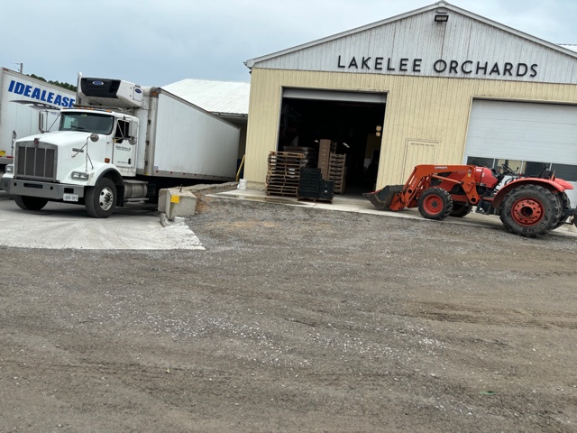 episode 1093: PEACH HARVEST TIME AT LAKE LEE ORCHARD, VINELAND, august 4, 2024