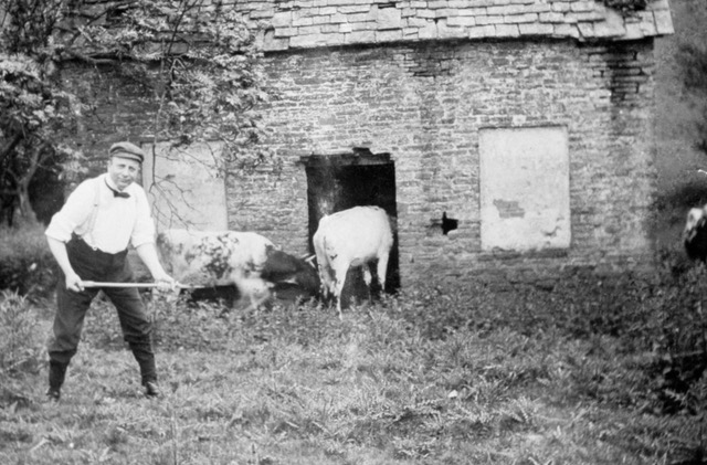 episode 2,229;   EDWARD FREEMAN – BOTHYS and  HOW TO BECOME A HEAD GARDENER in 1900