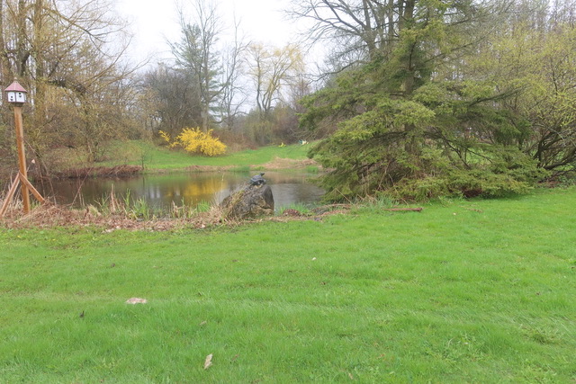 EPISODE 1056  spring is just about over…SPRINGTIME BEFORE THE APPLE BLOSSOMS 2024