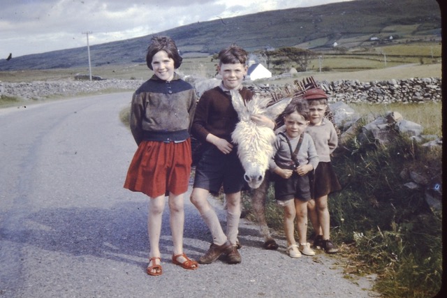 EPISODE  1,229: EDWARD FREEMAN…”HATED MY JOB AS HEAD GARDENER — TOO MUCH PRESSURE”