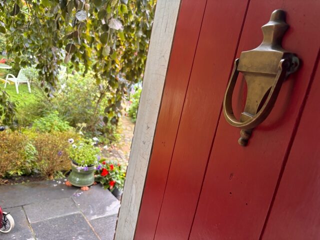 MARJORIE’S FRONT LAWN GARDEN — ATTRACTS VISITORS OF NON HUMAN KIND.