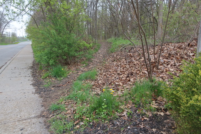 EPISOde  1053′ MARY FIX PARK IN SPRING RAIN SHOWER  MAY 5. 1053