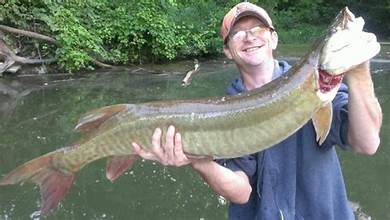 EPISODE 1,780: THE BIG MUSKIE —THIS Is NOT A FISH STORY